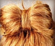Little hair bow