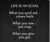Life is an Echo