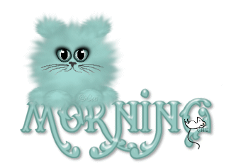 Morning