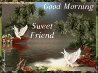 Good Morning Sweet Friend