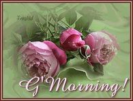 Good Morning