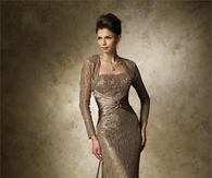 Elegant Floor Length Sleeved Beige Lace Gown