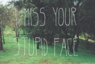 I miss your stupid face