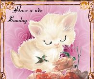 Have a Nice Sunday