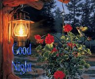 Good Night