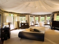 Luxury Tent