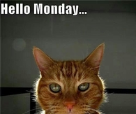 Hello Monday