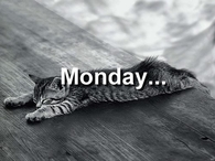 Monday