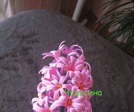 DIY Hyacinth Flower