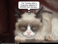 Tuesday after a long weekend