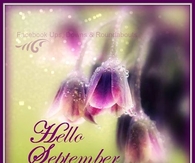Hello September