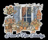 Have a Nice Tuesday