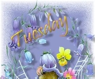 Tuesday