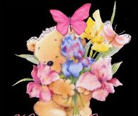Have a great Tuesday