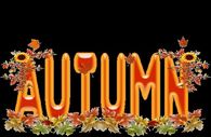 Autumn
