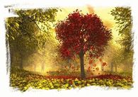 Autumn Leaves Falling
