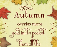 Autumn carries more gold in it's pocket than all the other seasons