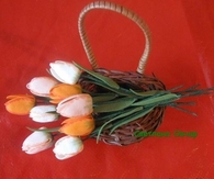 DIY Tulips