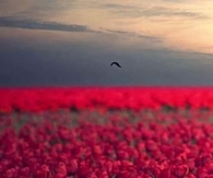 Stand out and be YOU!