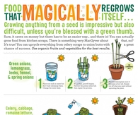 Food that regrows itself