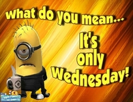 Only Wednesday