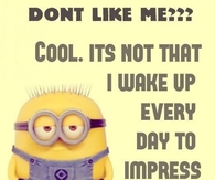 Don't like me