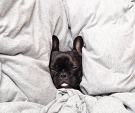 5 More Minutes