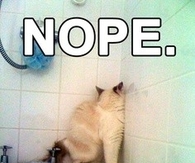 Nope.