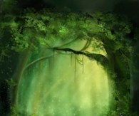 Little Fairy of the Forest