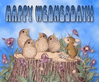 Happy Wednesday