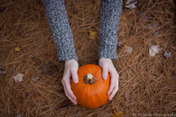 Pumpkin