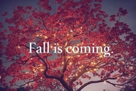 Fall is coming