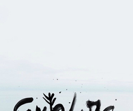 Explore