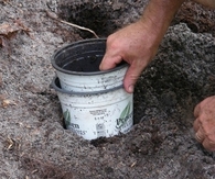 Pot in Pot Landscaping