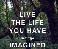 Live the Life You Imagined