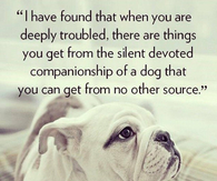 a dogs love