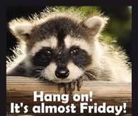 hang on its almost Friday