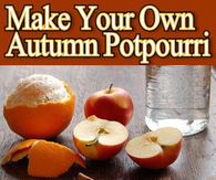 Make Your Own Autumn Potpourri