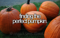 Finding the perfect pumpkin