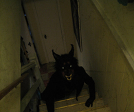 Demon in the basement