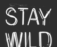 Stay Wild