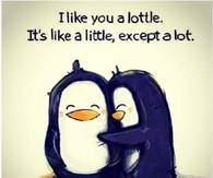 I like you a lot