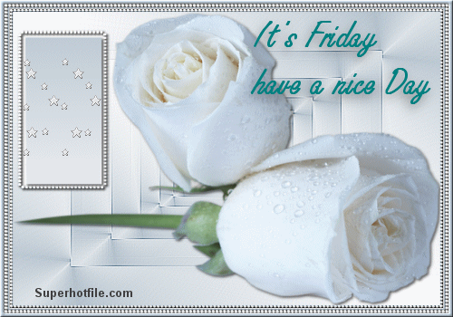 It's Friday Have a Nice Day