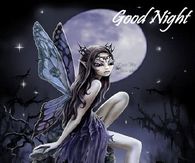 Good Night