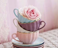 Pastel Teacups & Pink Rose