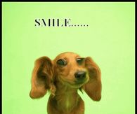Smile It's Friday