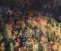 I live for autumn