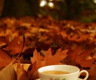 Tea and leaves