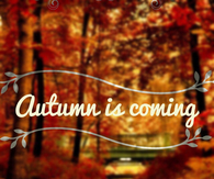 Autumn is coming