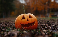 Happy jack o lantern